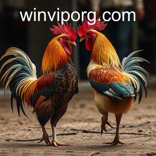 The Complex World of Cockfighting: Tradition, Controversy, and Change